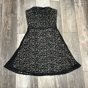 Burlapp Strapless Fit And Flare Black Knit Lace Over Gray/Nude Lining Dress Sz 6